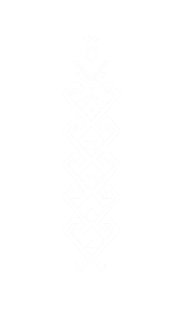 Eleutherodactylus verrucipes